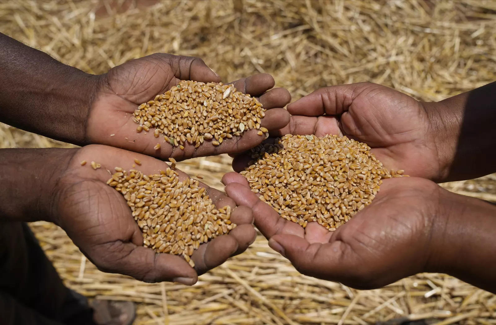 Punjab: Total 125.75 LMT wheat procured as season ends