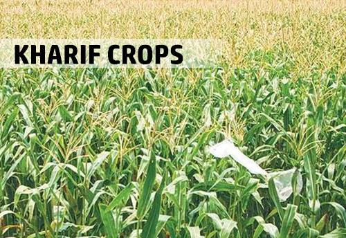 Remunerative prices. Centre hikes kharif crops’ MSP by 5-10%; does not see impact on inflation