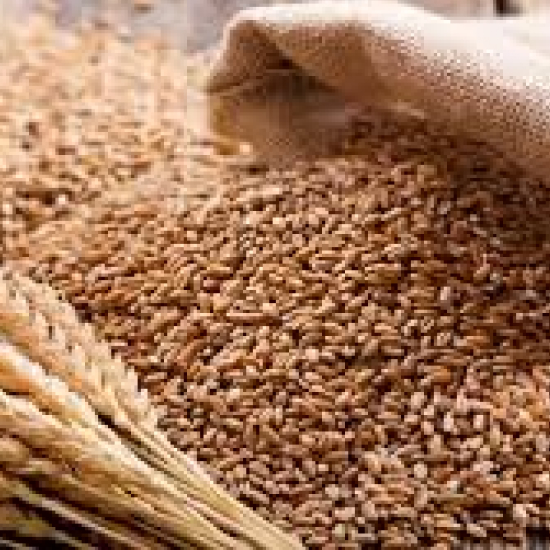 Centre imposes stock limits on wheat.