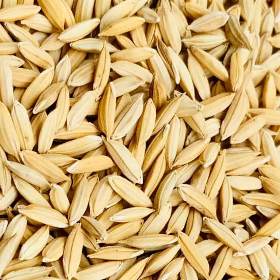 830 lakh tonne paddy procured benefiting 1.22 crore farmers: Food ministry