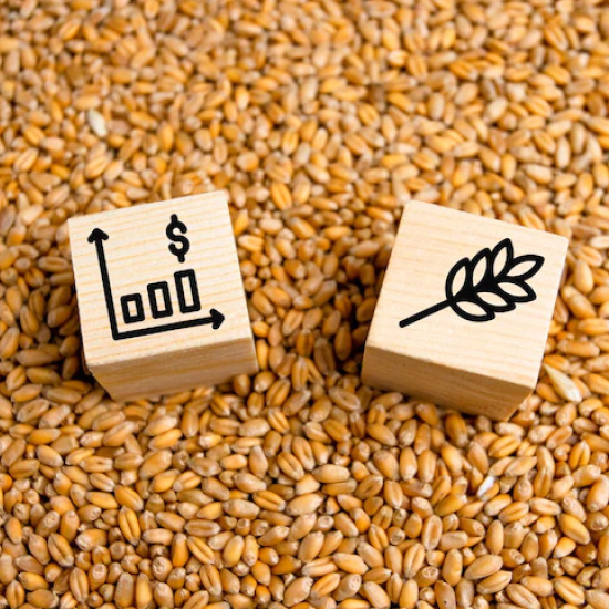 India notifies procedure for wheat export to Nepal