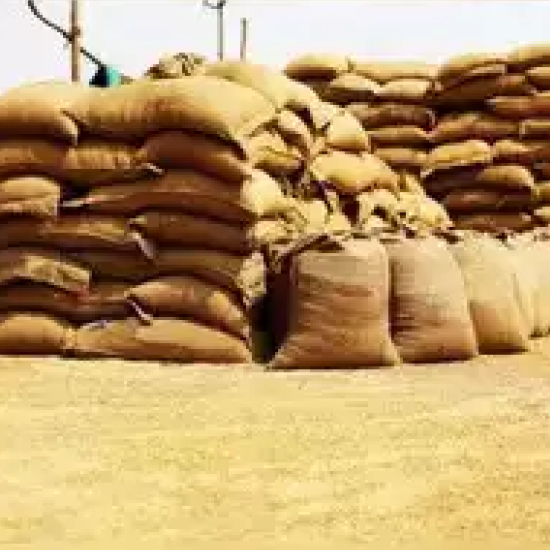 Govt to sell wheat and rice in open market to control prices