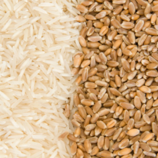 Government directs FCI to conduct e-auctions of wheat and rice to check inflationary trends in retail prices
