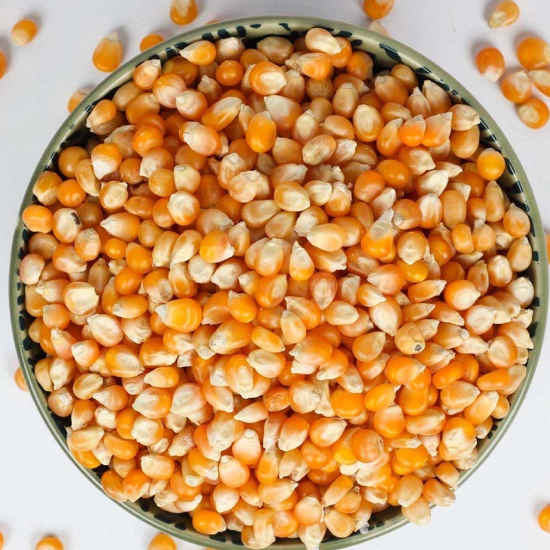 Farmers protest demanding higher prices for maize and moong crops