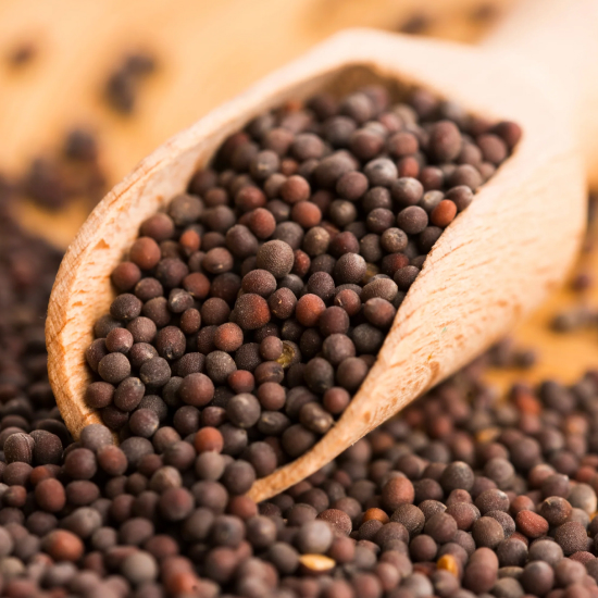 Mustard Price: वैश्विक स्तर पर खाद्य तेलों में तेजी और तेल मिलों की खरीदारी से सरसों में उछाल जारी