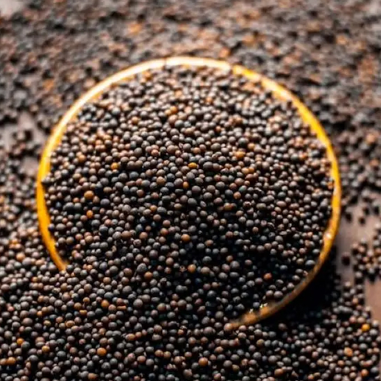 Mustard procurement tops 9.19 lakh tonnes