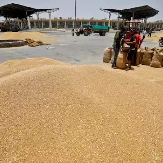 FCI sells 21 per cent of 4.08 lt wheat offered at average price of Rs 2,136/quintal