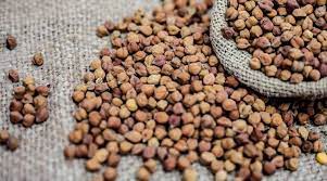 चना उपार्जन के लिये किसान पंजीयन 20 फरवरी से प्रारम्भ होंगे
