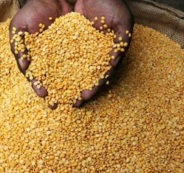 तुवर दाल का थोक मंडी भाव 50% ऊपर, स्टॉक रोकने का प्रयास कर रहे किसान