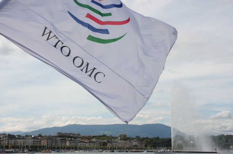 WTO विवाद: भारत ने अपनी चीनी सब्सिडी पर डब्ल्यूटीओ की सीमा का उल्लंघन करने के आरोपों को खारिज किया