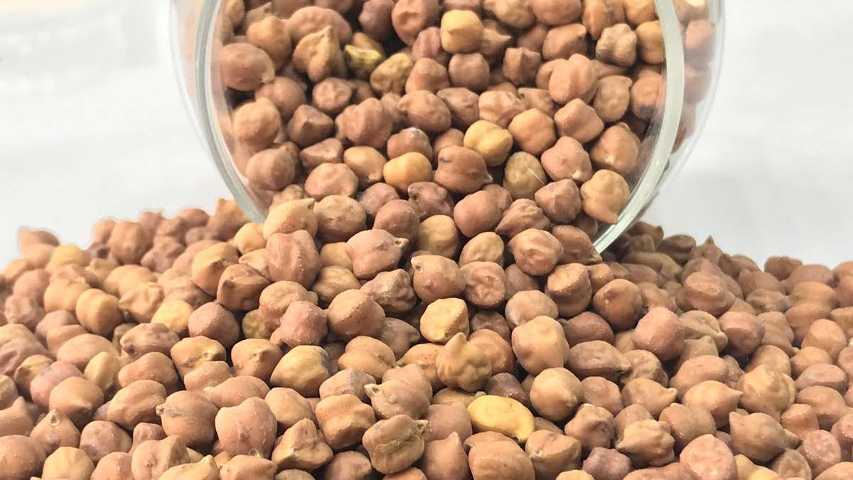 कम हुई चना की फसल, अब क्या कदम उठाएगी सरकार