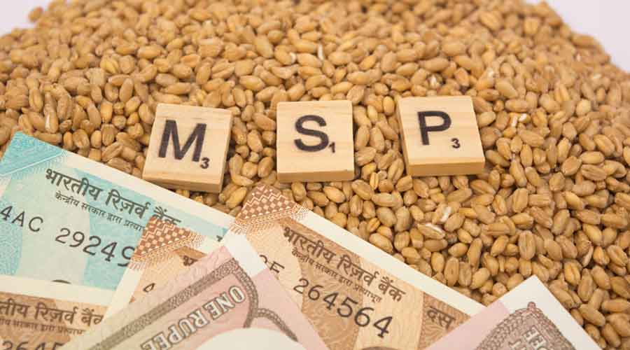कैबिनेट ने 14 खरीफ फसलों के लिए एमएसपी को मंजूरी दी, किसानों को 35,000 करोड़ रुपये अधिक का फायदा होगा