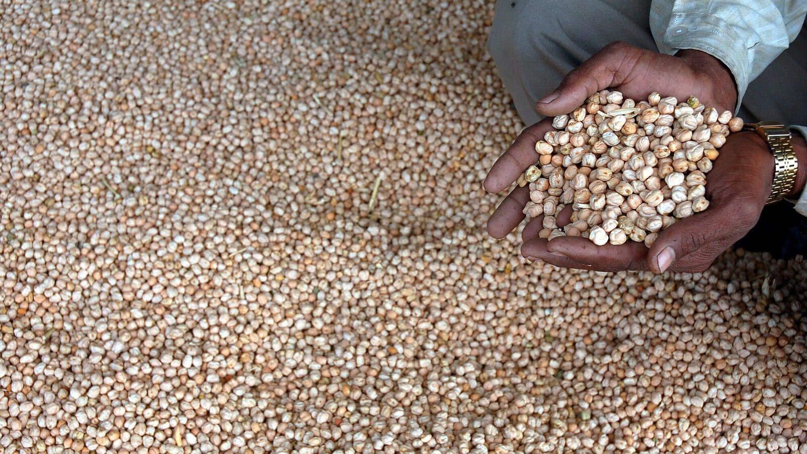 केंद्र ने काबुली चना पर 30 सितंबर, 2024 तक स्टॉक सीमा की लागू
