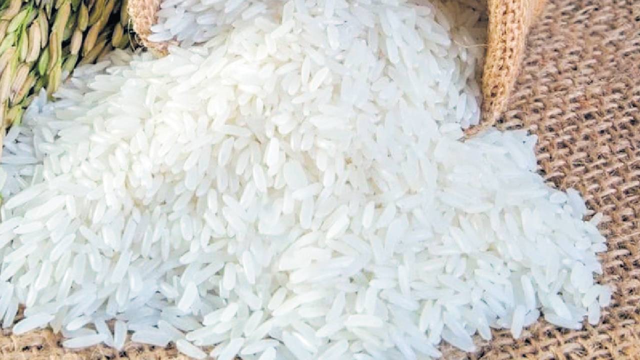 बढ़ते अन्न भंडारों के कारण भारत दे सकता है चावल निर्यात प्रतिबंधों में ढील