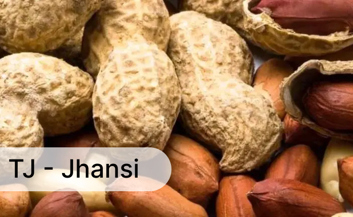 भावों में आई लगातार गिरावट से किसान नहीं ला रहे, मंडियों में मूंगफली