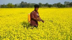 भारत की कृषि मूल्य श्रृंखला विकास योजना: किसानों और उद्योग के बीच मजबूत साझेदारी का सेतु