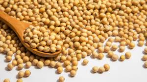 पीएसएस के तहत सोयाबीन की खरीद पर धीमी गति, किसानों को कम लाभ