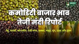 गेहूं, तिलहन और दाल बाजार में भाव और आपूर्ति के ताजा रुझान