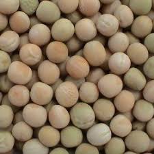 मटर का वैश्विक उत्पादन 1.8% बढ़ा: भारत के लिए सकारात्मक संकेत