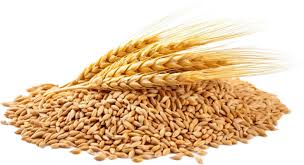 marketdetails-img