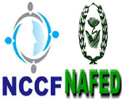 नेफेड और NCCF के कदम से दलहन बाजार में व्यापार के नए अवसर, 21 लाख किसानों को सीधा लाभ