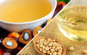 सोया और पाम तेल में स्थिरता के संकेत, डिमांड बढ़ने की संभावना