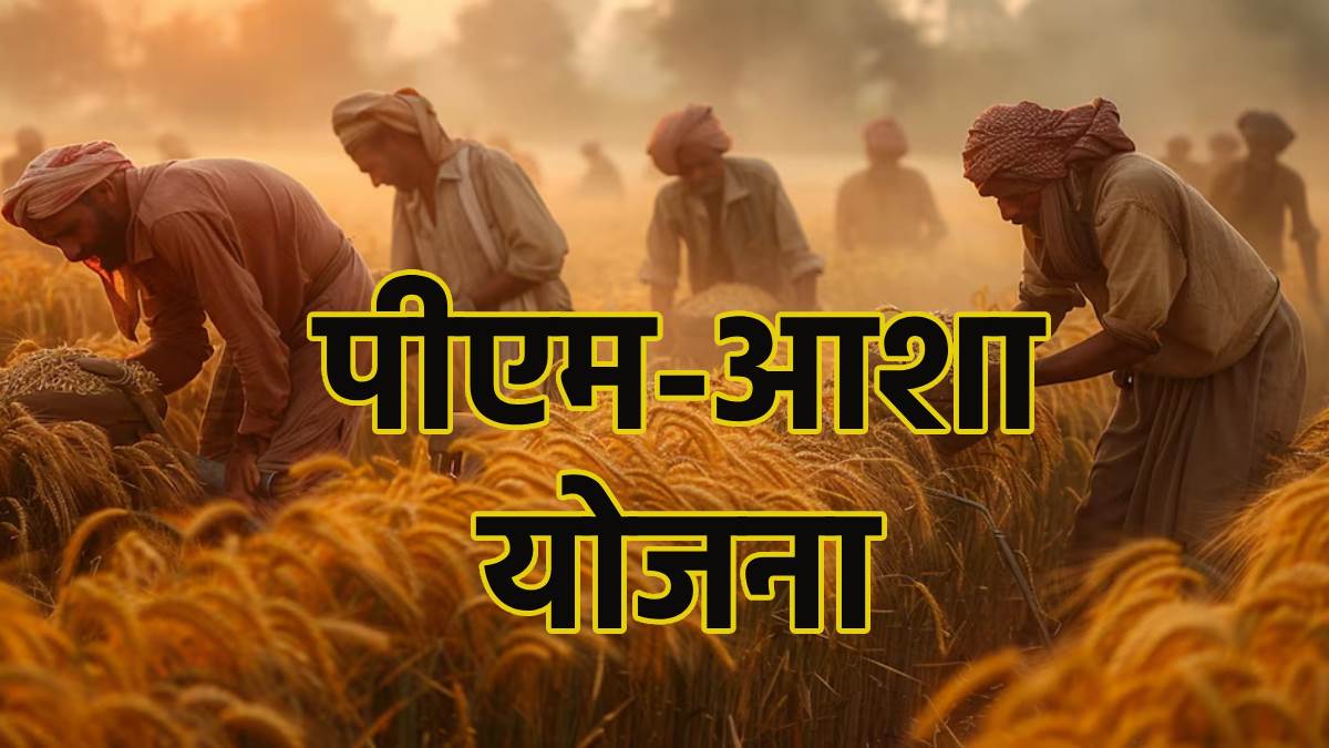 सरकार ने PM-AASHA योजना को जारी रखने की मंजूरी दी; तूर, उड़द और मसूर की खरीद को दी अनुमति
