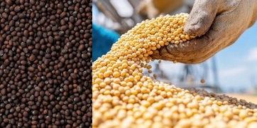 marketdetails-img