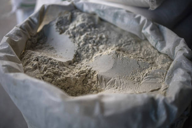 भारतीय बाज़ार में इटली के सॉफ्ट व्हीट आटे की बढ़ती पकड़: गुणवत्ता और ट्रेसबिलिटी बन रहे हैं पसंद की वजह