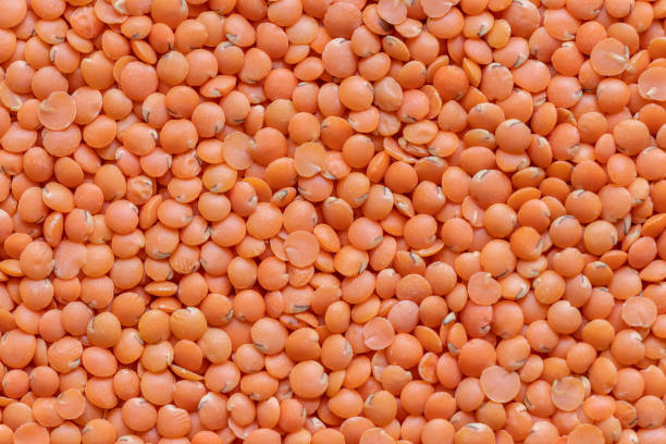 साप्ताहिक दाल रिपोर्ट: नई फसल की उम्मीदों से मसूर के भाव नरम